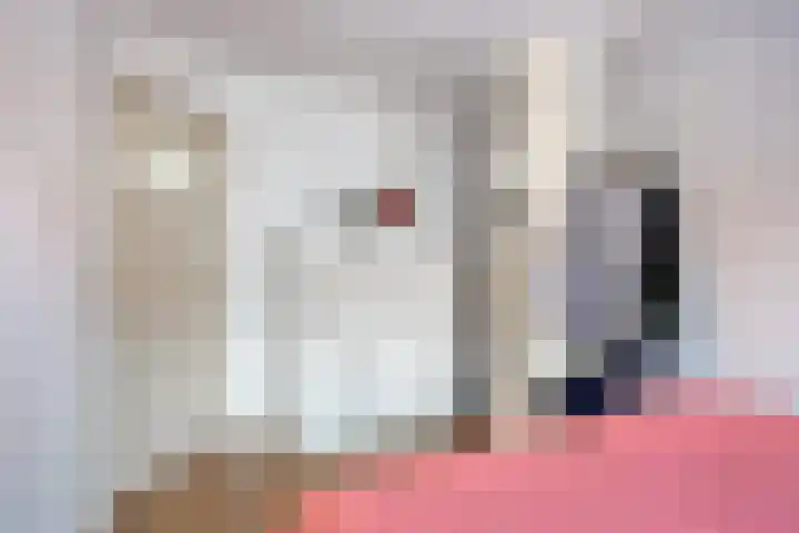 Centauriestraat 27 Eindhoven thumbnail 28