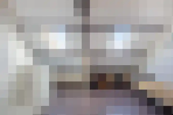 Centauriestraat 27 Eindhoven thumbnail 38