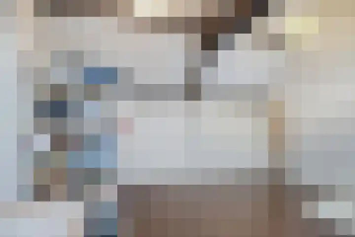 Centauriestraat 27 Eindhoven thumbnail 39