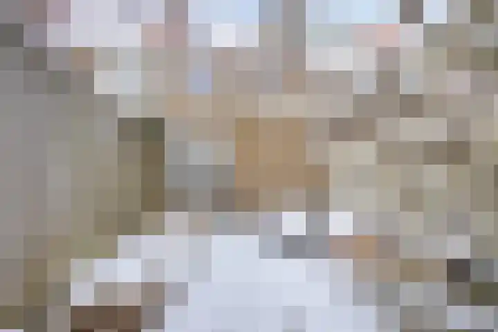 Centauriestraat 27 Eindhoven thumbnail 43