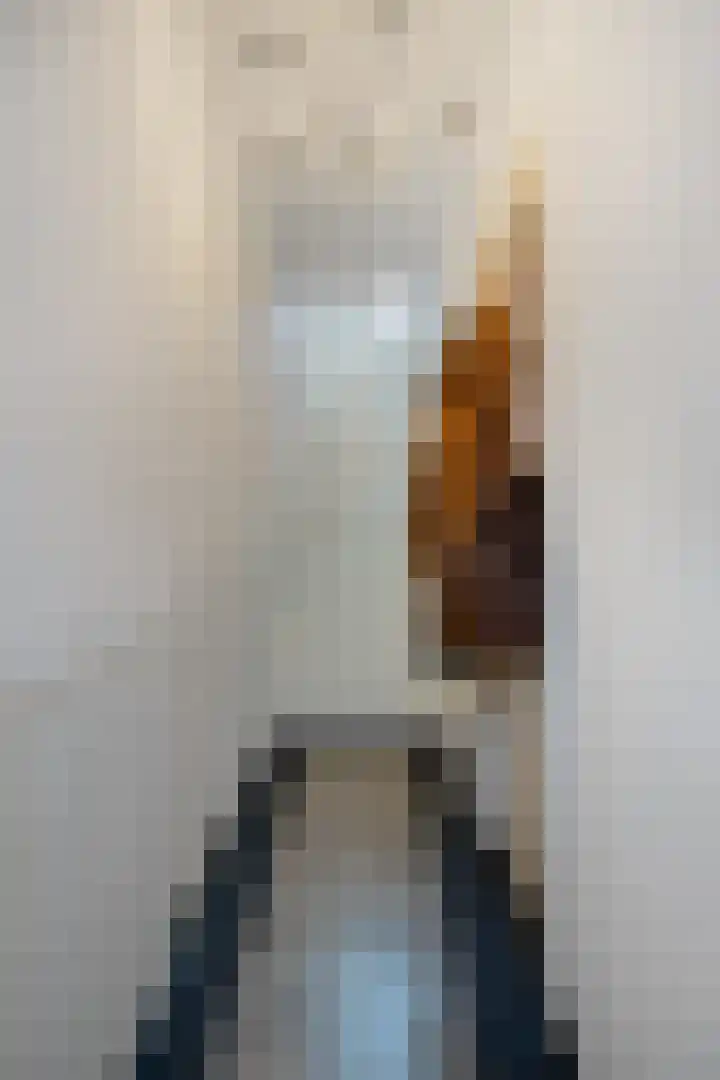Centauriestraat 27 Eindhoven thumbnail 7