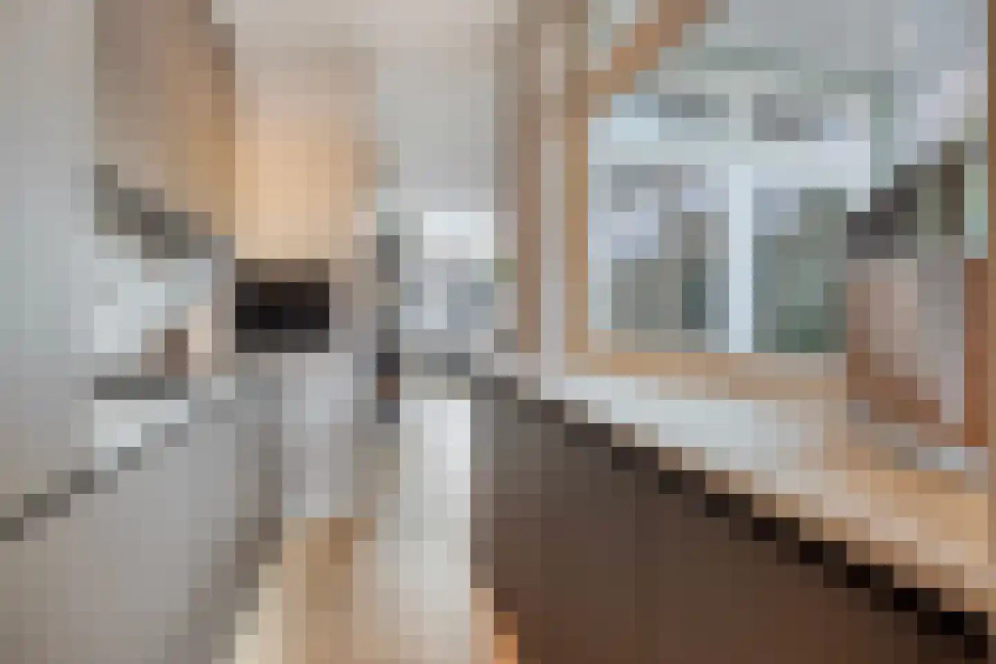 Centauriestraat 34 Eindhoven thumbnail 11