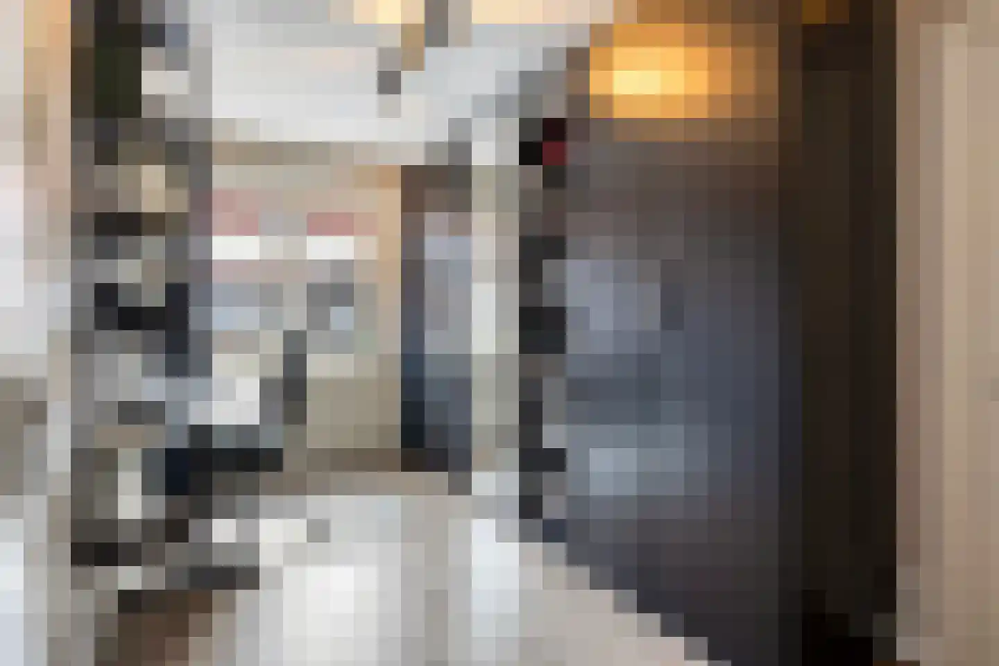 Centauriestraat 34 Eindhoven thumbnail 20