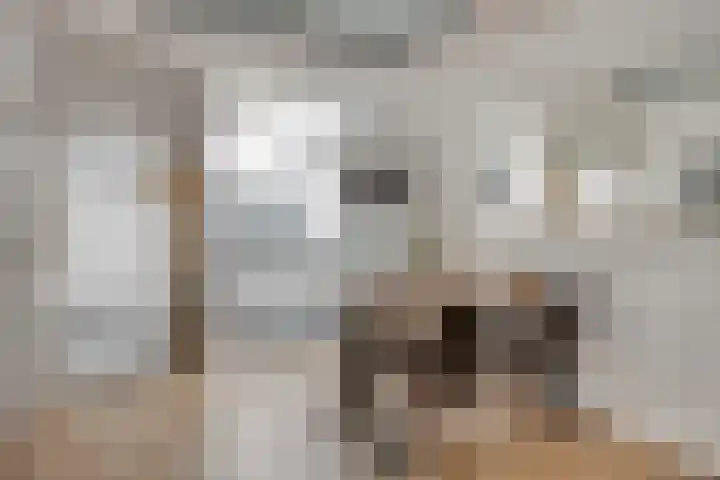 Centauriestraat 51 Eindhoven thumbnail 10