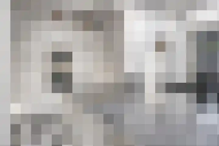 Centauriestraat 51 Eindhoven thumbnail 12