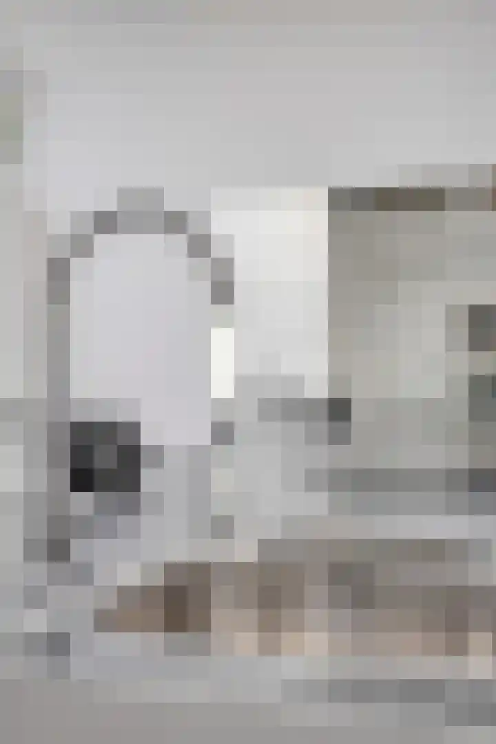 Centauriestraat 51 Eindhoven thumbnail 13