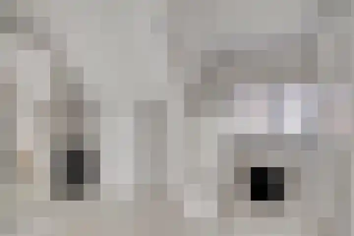 Centauriestraat 51 Eindhoven thumbnail 27
