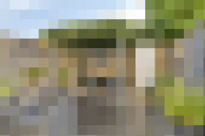Centauriestraat 51 Eindhoven thumbnail 28