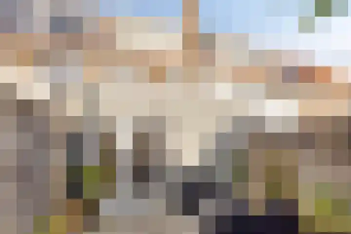 Centauriestraat 51 Eindhoven thumbnail 30