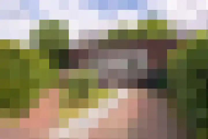 Centaurstraat 12 Groningen thumbnail 10