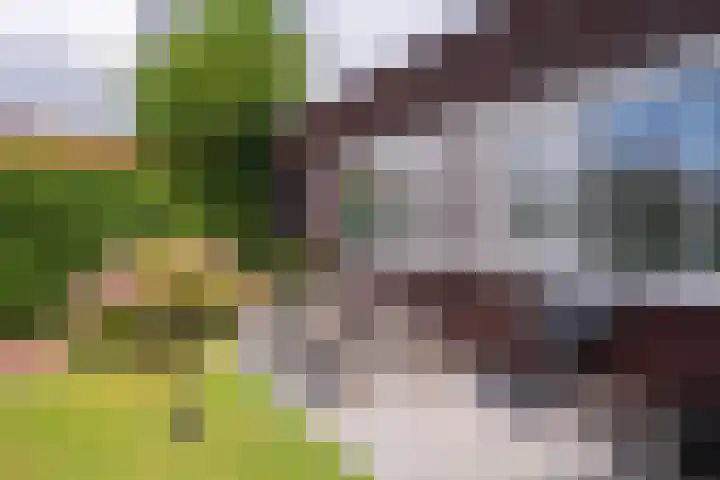 Centaurstraat 12 Groningen thumbnail 11