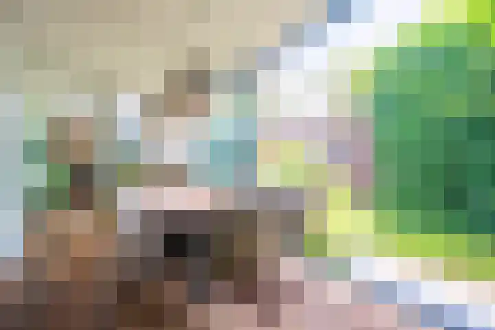 Centaurstraat 12 Groningen thumbnail 16