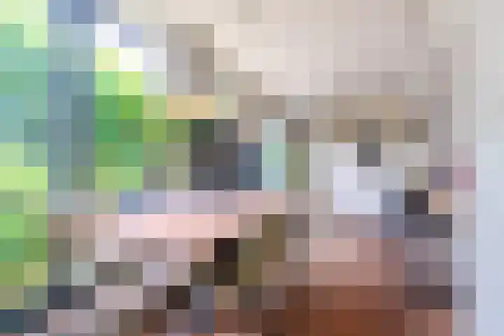 Centaurstraat 12 Groningen thumbnail 18
