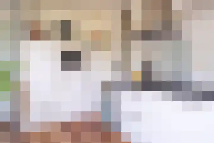Centaurstraat 12 Groningen thumbnail 26