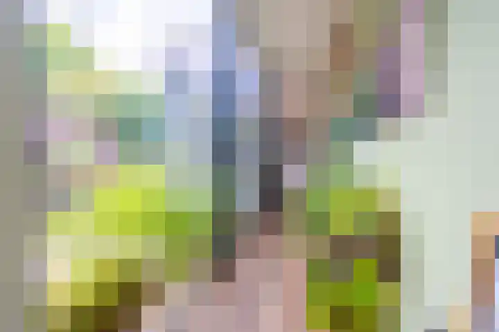 Centaurstraat 12 Groningen thumbnail 32