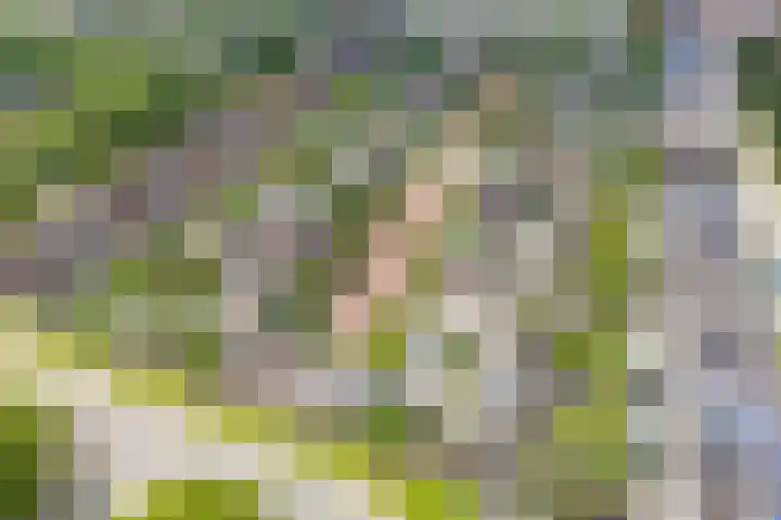 Centaurstraat 12 Groningen thumbnail 5