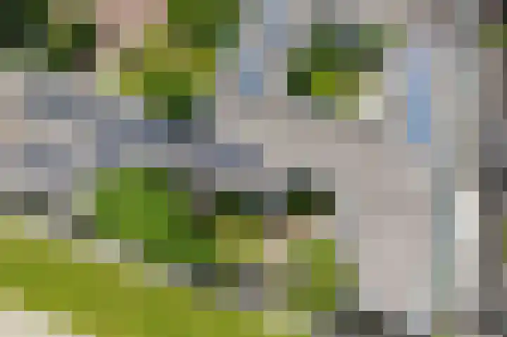 Centaurstraat 12 Groningen thumbnail 6