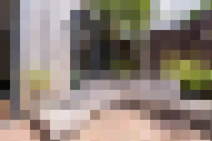 Centaurstraat 12 Groningen thumbnail 61