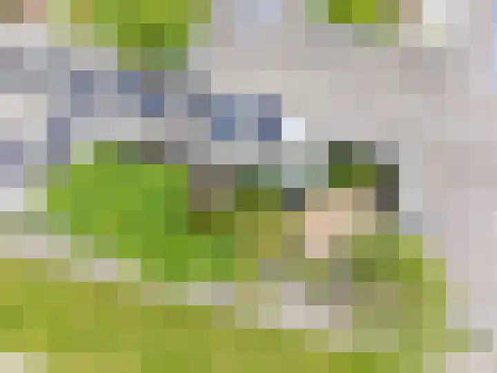 Centaurstraat 12 Groningen thumbnail 64