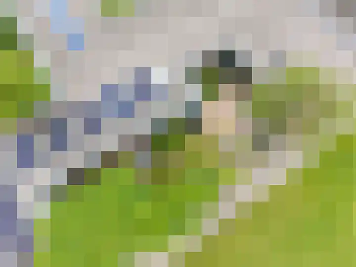 Centaurstraat 12 Groningen thumbnail 65