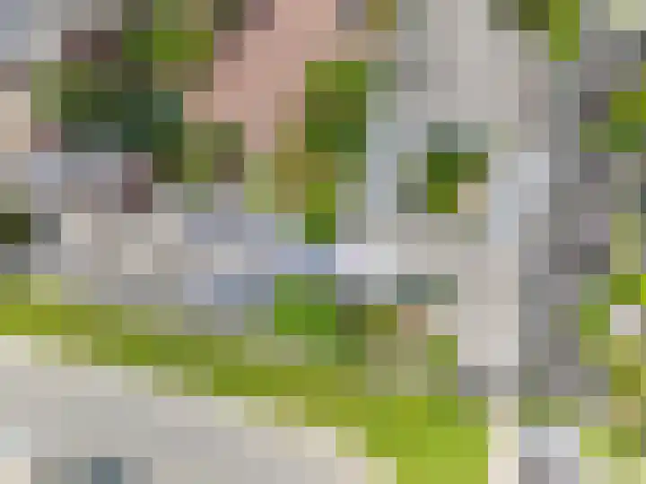 Centaurstraat 12 Groningen thumbnail 68