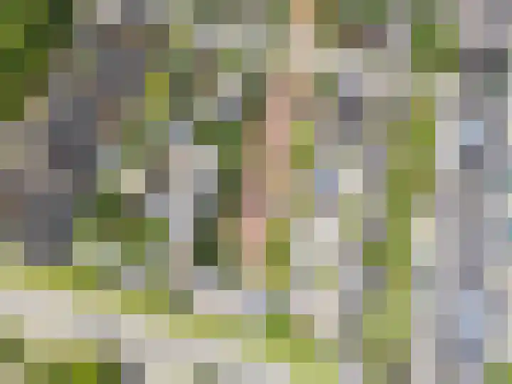 Centaurstraat 12 Groningen thumbnail 69