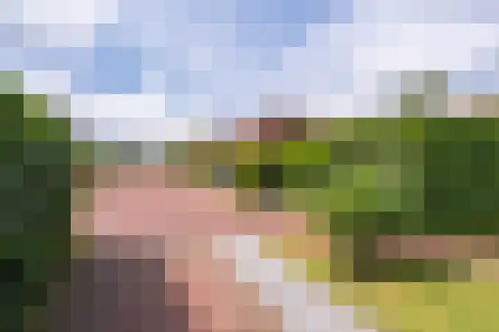 Centaurstraat 12 Groningen thumbnail 9