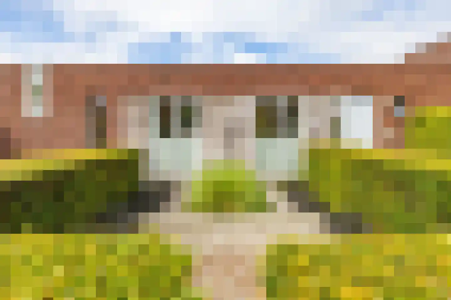 Centaurstraat 7 Groningen thumbnail 5