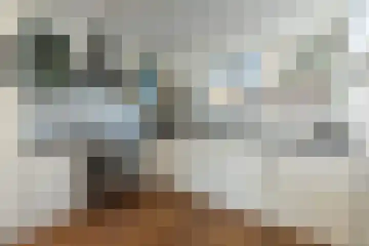Centavoshof 5 Amsterdam thumbnail 11