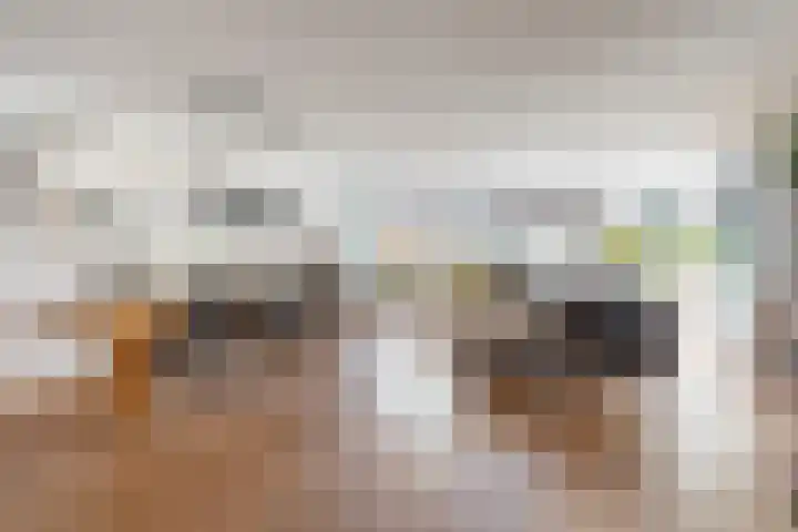 Centavoshof 5 Amsterdam thumbnail 12