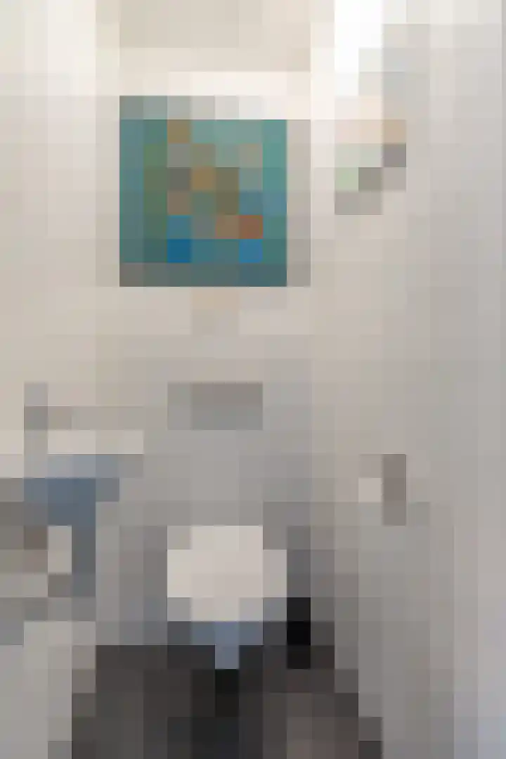 Centavoshof 5 Amsterdam thumbnail 16