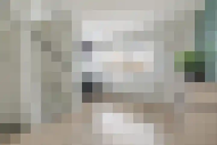 Centavoshof 5 Amsterdam thumbnail 17