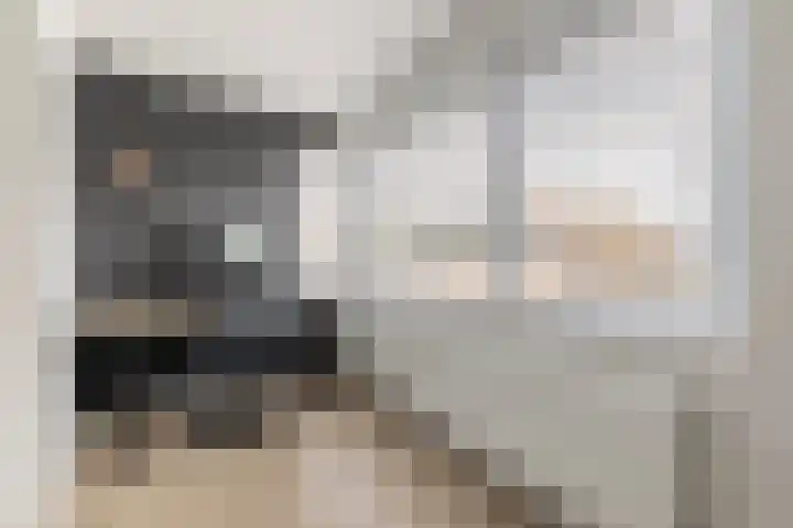Centavoshof 5 Amsterdam thumbnail 18