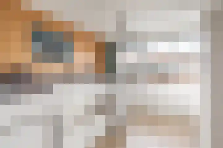 Centavoshof 5 Amsterdam thumbnail 22