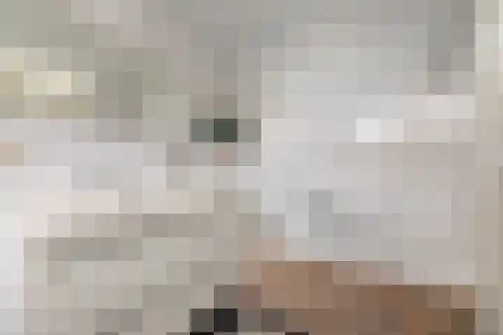 Centavoshof 5 Amsterdam thumbnail 27