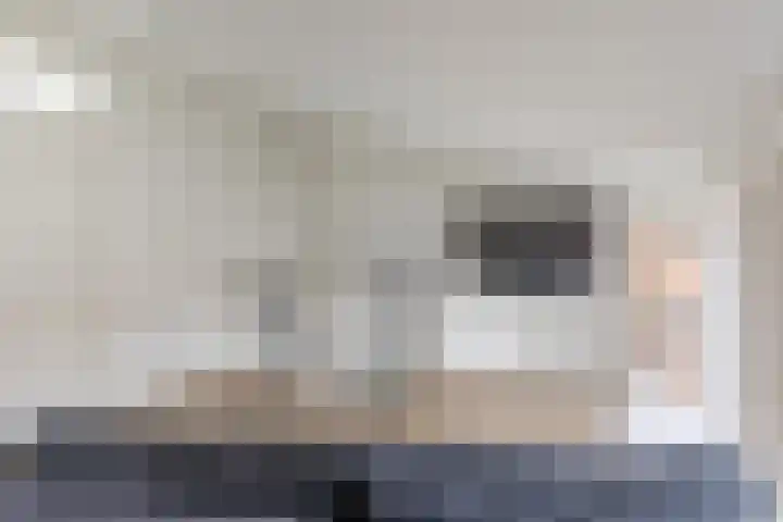 Centavoshof 5 Amsterdam thumbnail 29