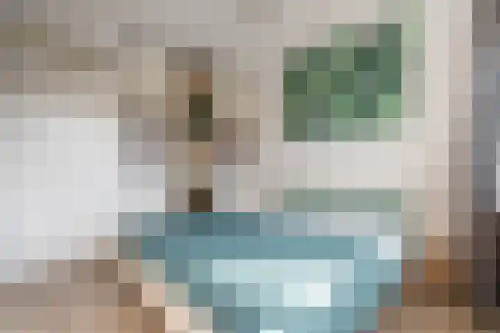 Centavoshof 5 Amsterdam thumbnail 31