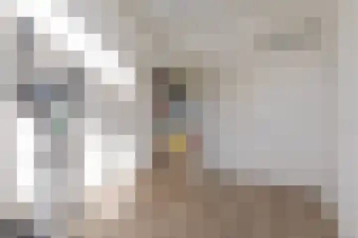 Centavoshof 5 Amsterdam thumbnail 33