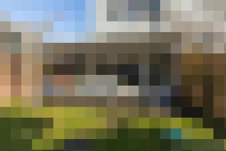 Centavoshof 5 Amsterdam thumbnail 36