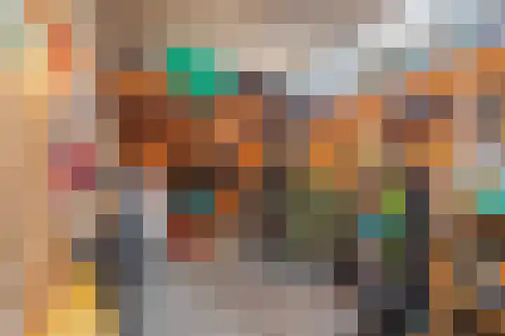 Centavoshof 5 Amsterdam thumbnail 39