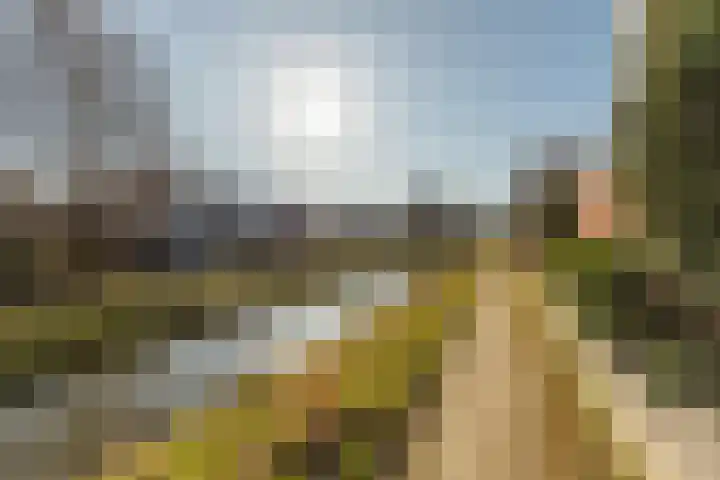 Centavoshof 5 Amsterdam thumbnail 43