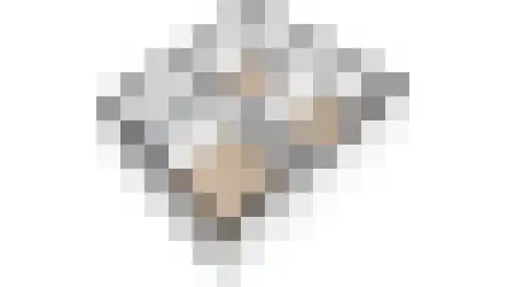 Centavoshof 5 Amsterdam thumbnail 47