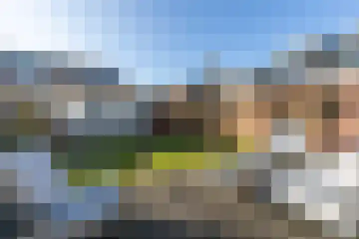 Centavoshof 5 Amsterdam thumbnail 5