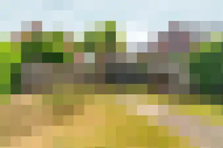 Centraalspoor 15 Arnhem thumbnail 42