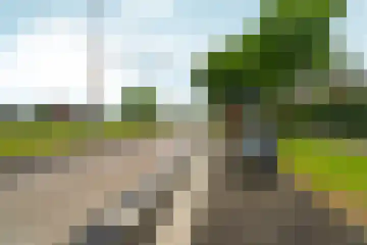 Centraalspoor 15 Arnhem thumbnail 55