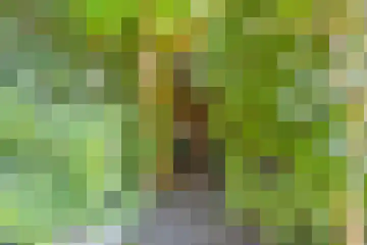 Centraalspoor 19 Arnhem thumbnail 54
