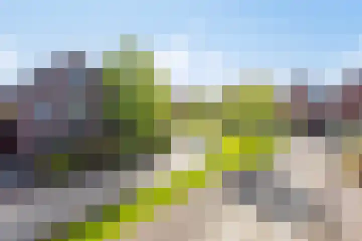 Centraalspoor 19 Arnhem thumbnail 63