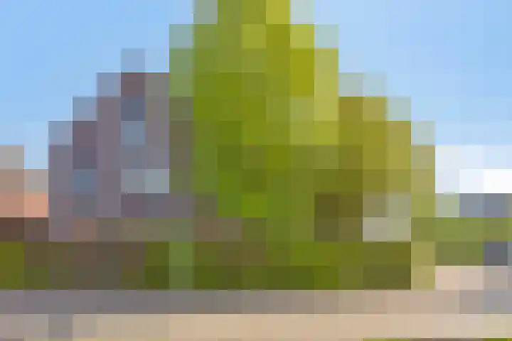 Centraalspoor 19 Arnhem thumbnail 69