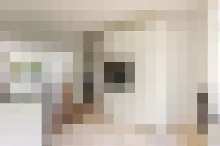 Centraalspoor 20 Houten thumbnail 11