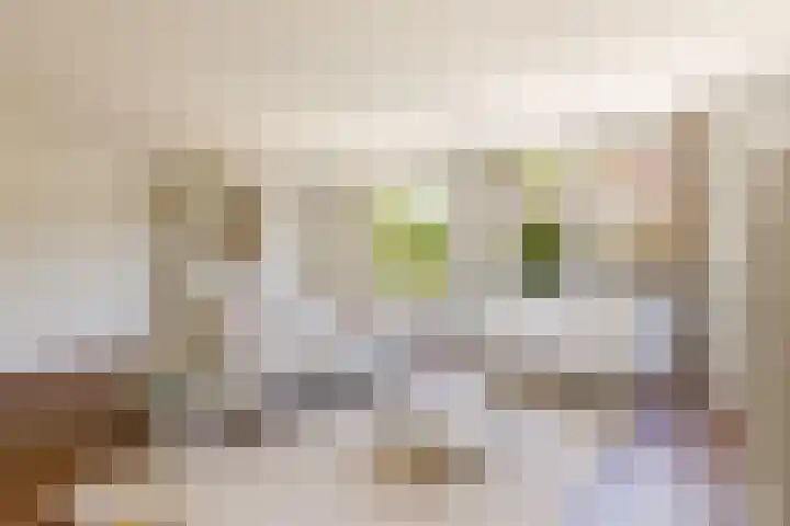 Centraalspoor 20 Houten thumbnail 17